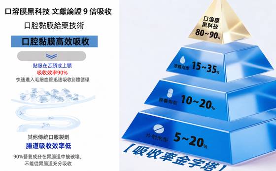 口溶膜吸收效率金字塔