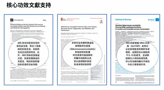 核心功效文獻支持